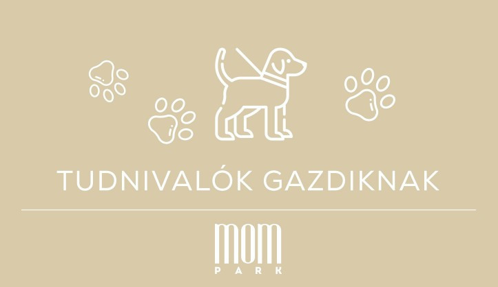 Sétáltassa kedvencét biztonságosan!