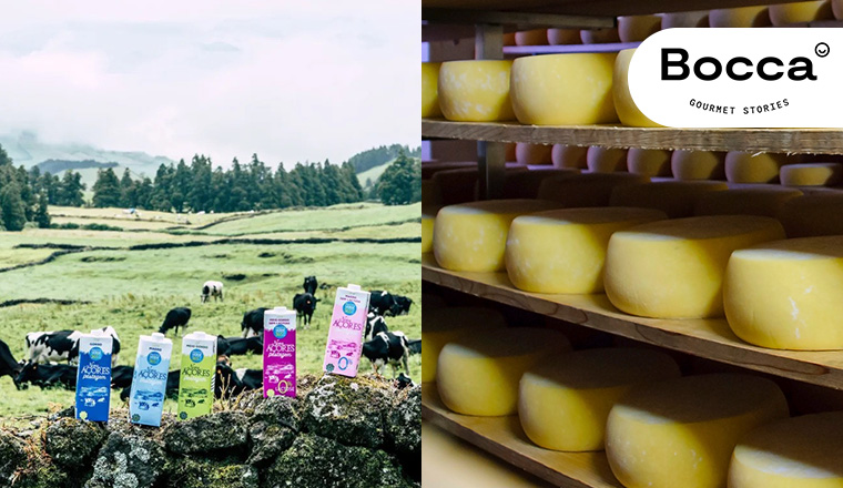 Kulináris különlegesség: azori-szigeteki tejtermékek